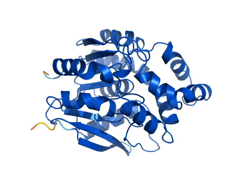 AlphaFold predicted structure of YNR064C