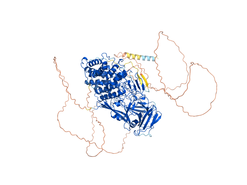 AlphaFold predicted structure of DSE4