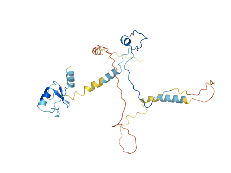 AlphaFold predicted structure of CWC24