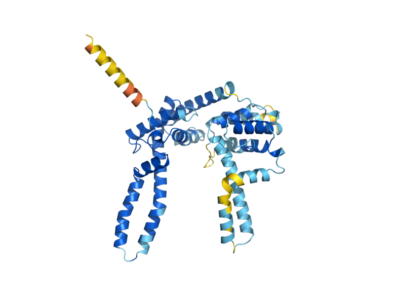 AlphaFold predicted structure of COS1