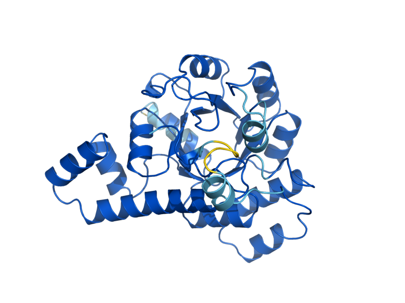 AlphaFold predicted structure of SNZ2