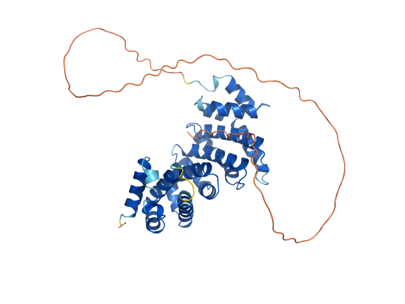 AlphaFold predicted structure of CAF40