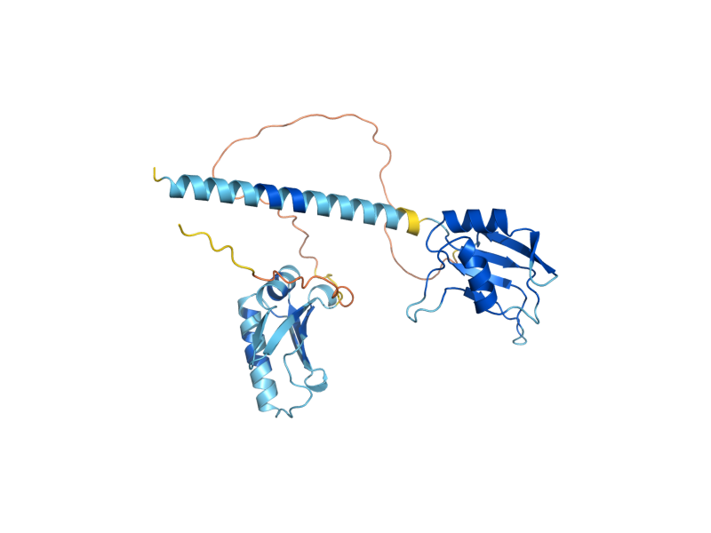 AlphaFold predicted structure of CUS2