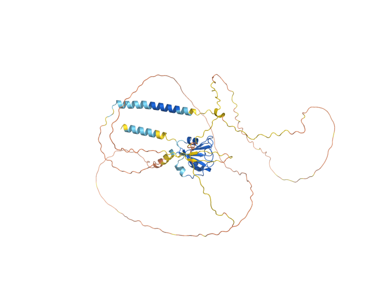 AlphaFold predicted structure of WSC2