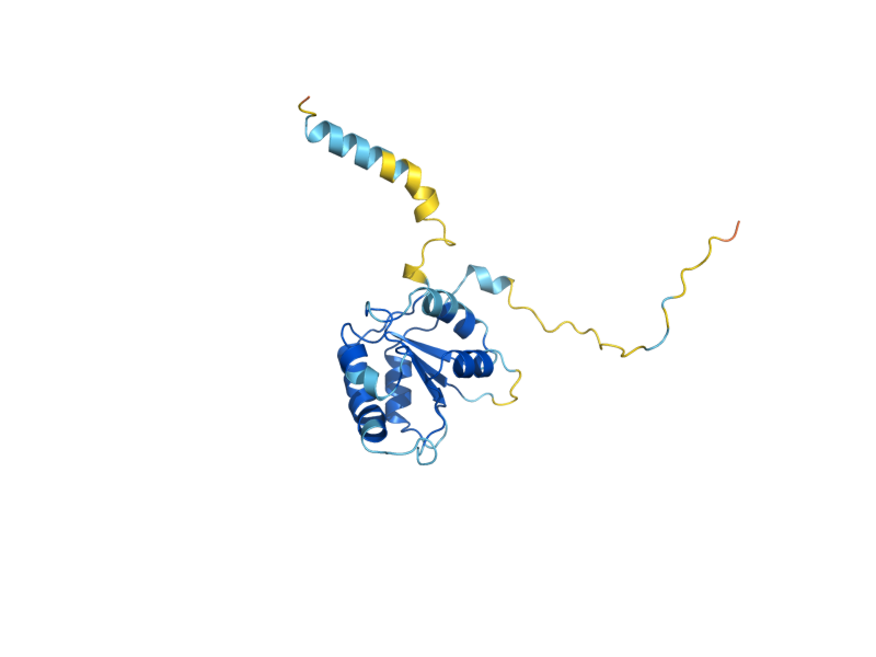 AlphaFold predicted structure of POP3