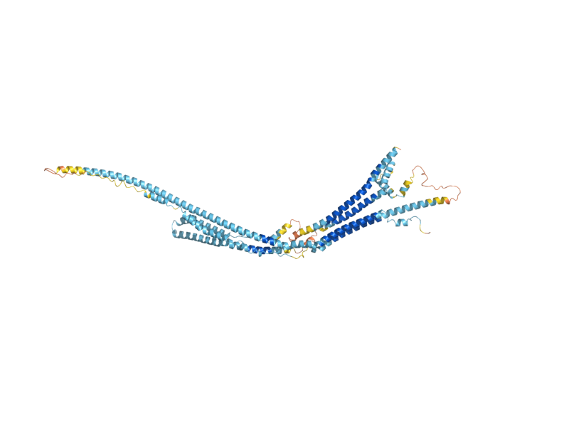 AlphaFold predicted structure of PRM1