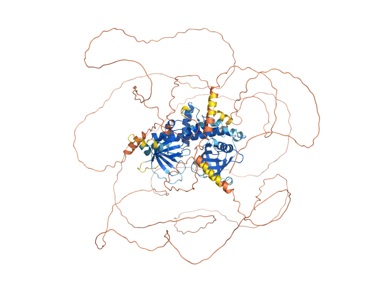 AlphaFold predicted structure of CAF120