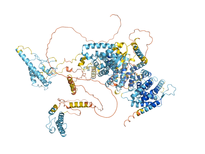 AlphaFold predicted structure of TOF1