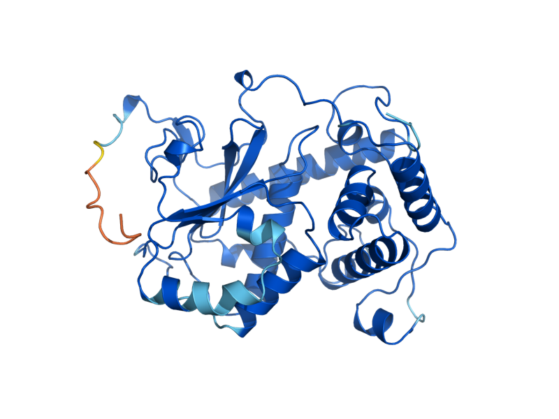 AlphaFold predicted structure of PDR17