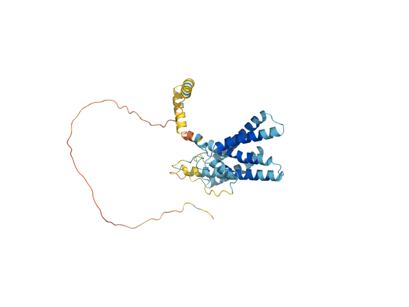 AlphaFold predicted structure of YIF1