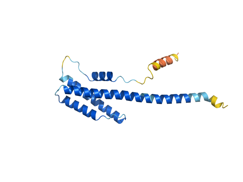 AlphaFold predicted structure of LTO1