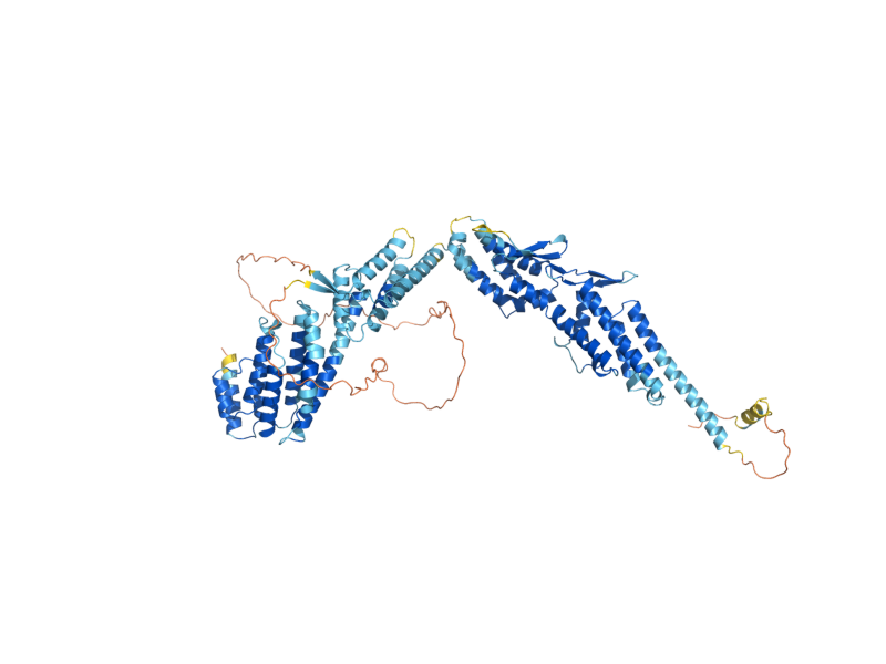 AlphaFold predicted structure of DSL1