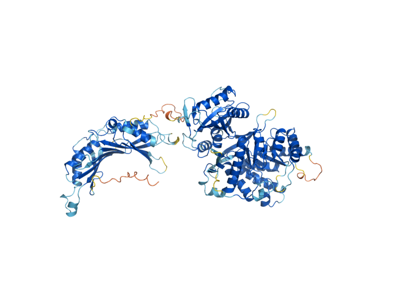 AlphaFold predicted structure of FOL1