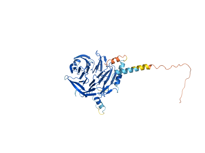 AlphaFold predicted structure of TEX1