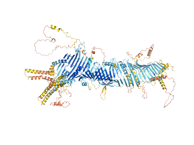 AlphaFold predicted structure of ATG2