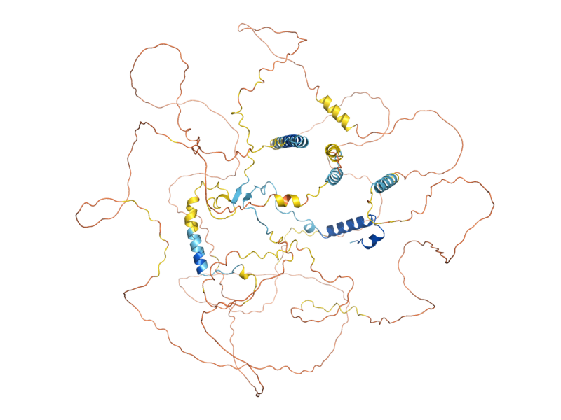 AlphaFold predicted structure of BNI4