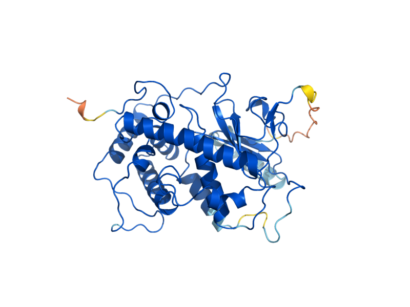 AlphaFold predicted structure of PDR16