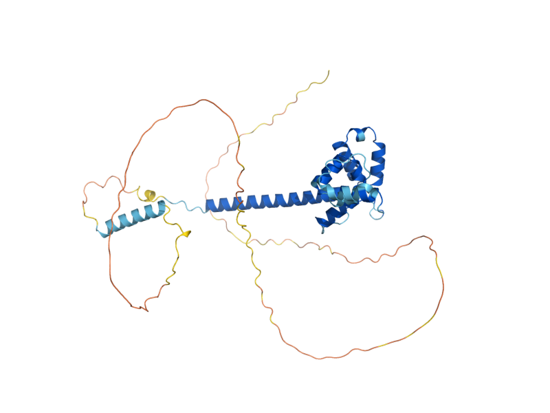 AlphaFold predicted structure of ELA1