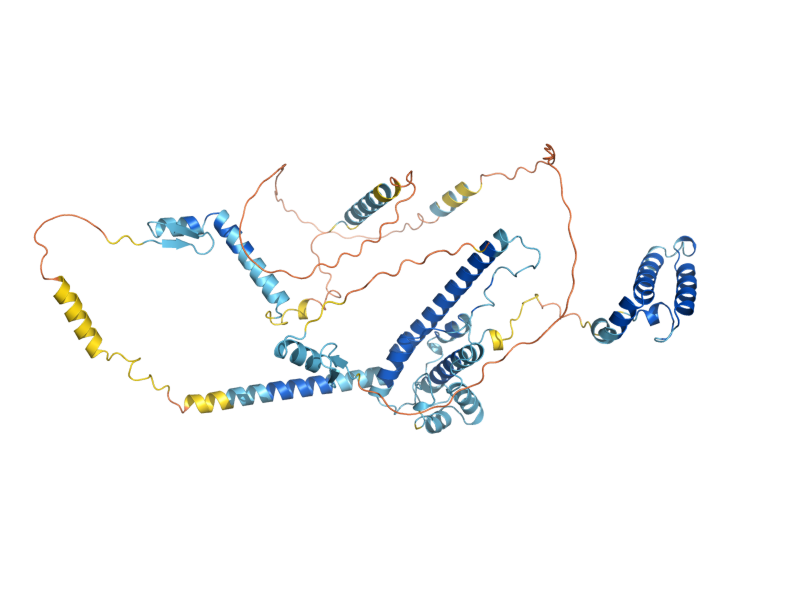 AlphaFold predicted structure of JJJ1