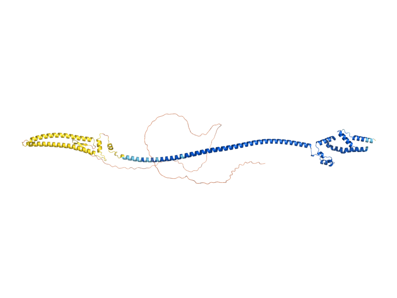 AlphaFold predicted structure of CNM67