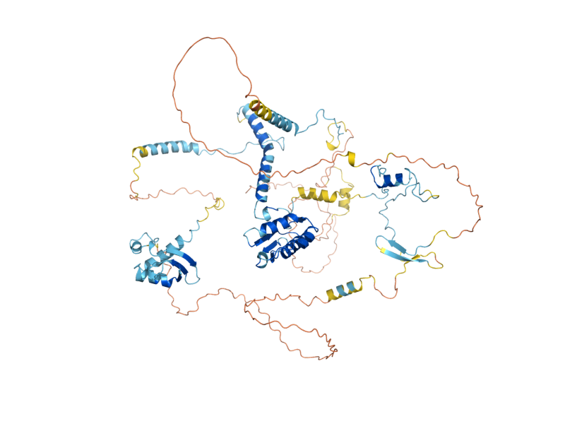AlphaFold predicted structure of SQS1