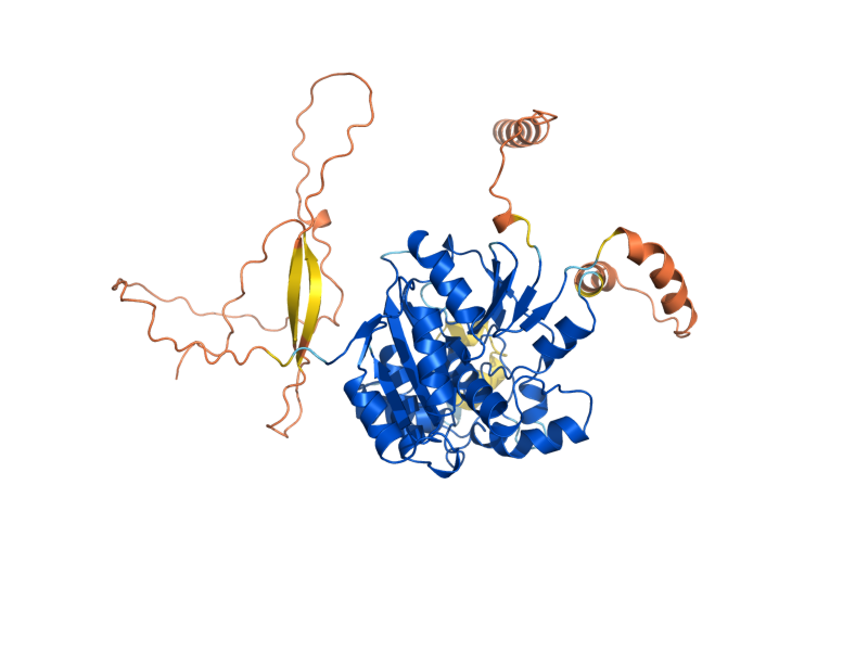 AlphaFold predicted structure of ATG4