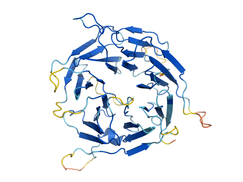 AlphaFold predicted structure of SWT21