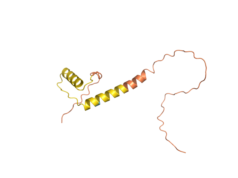 AlphaFold predicted structure of YNL184C