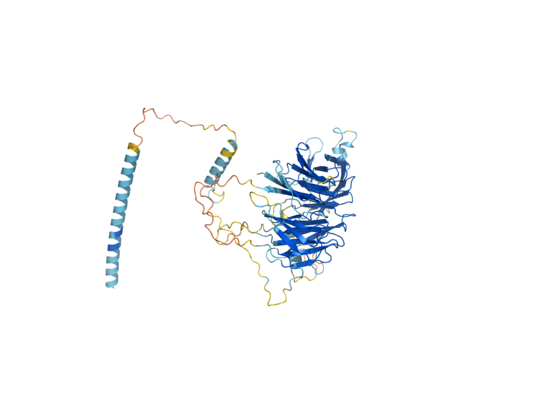 AlphaFold predicted structure of IPI3