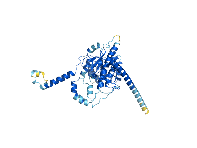 AlphaFold predicted structure of PBR1
