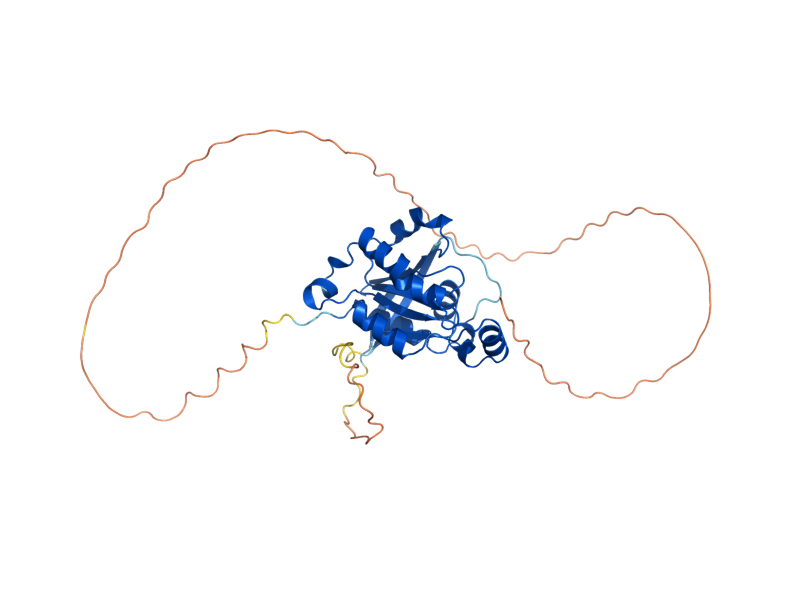 AlphaFold predicted structure of RHO5