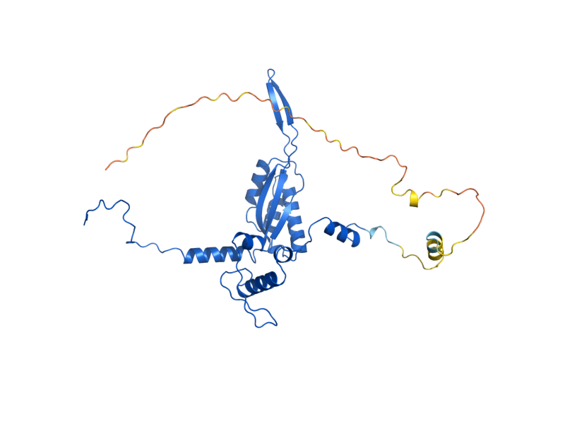 AlphaFold predicted structure of MRPL22