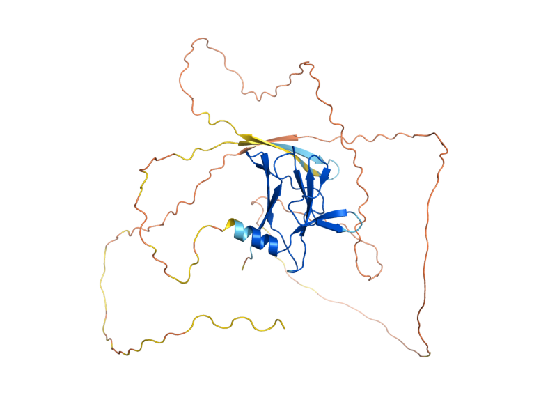 AlphaFold predicted structure of MDG1