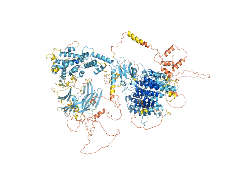 AlphaFold predicted structure of APC1