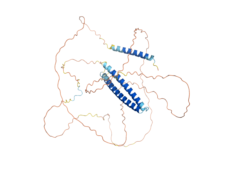 AlphaFold predicted structure of BNI5