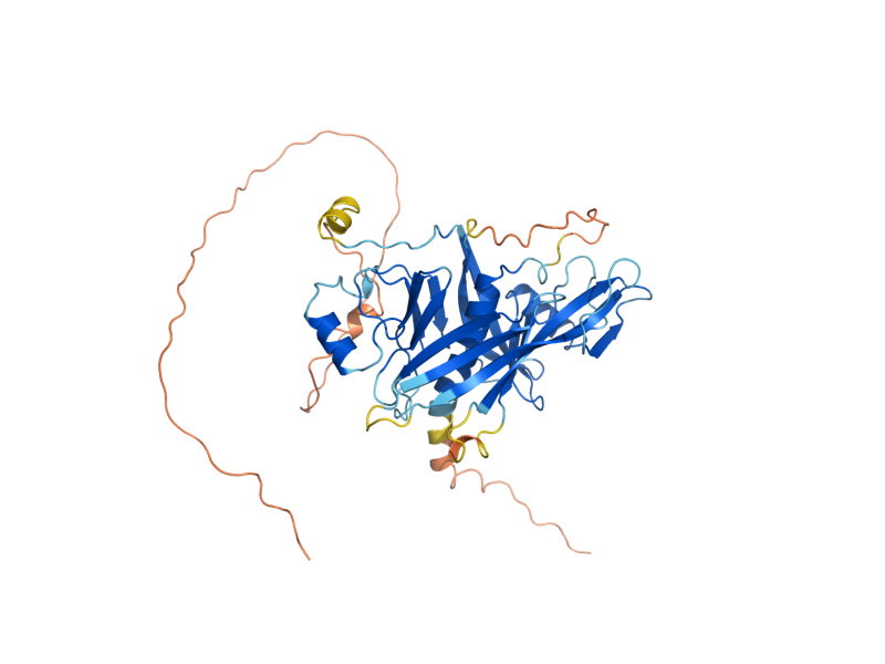AlphaFold predicted structure of YNL165W