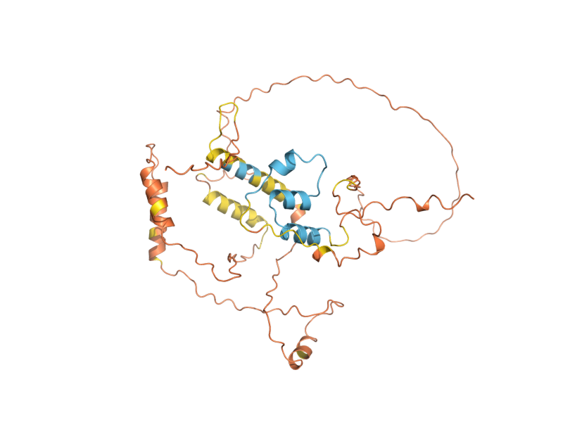 AlphaFold predicted structure of IBD2