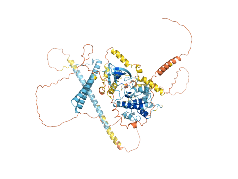 AlphaFold predicted structure of CBK1