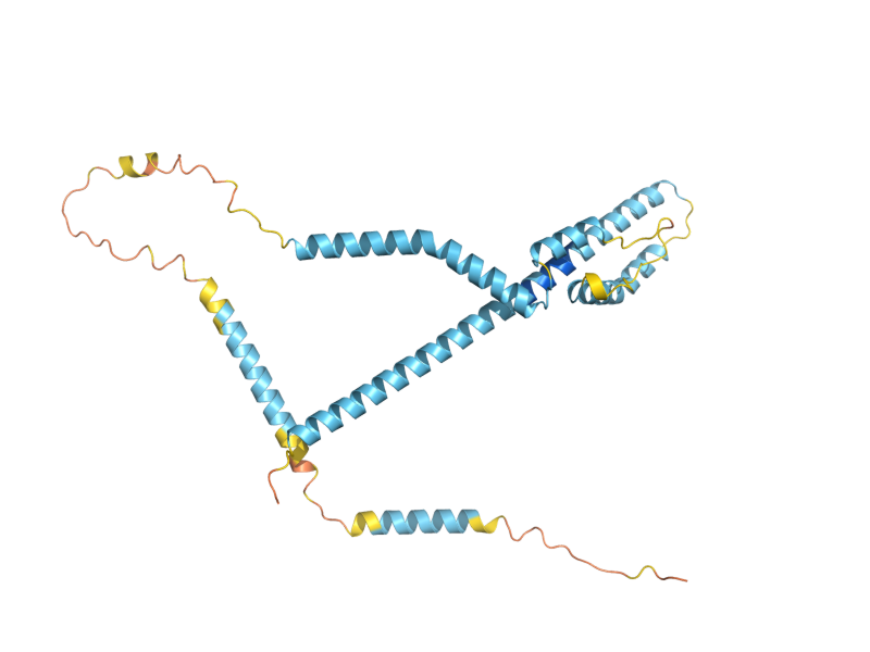 AlphaFold predicted structure of ASI2