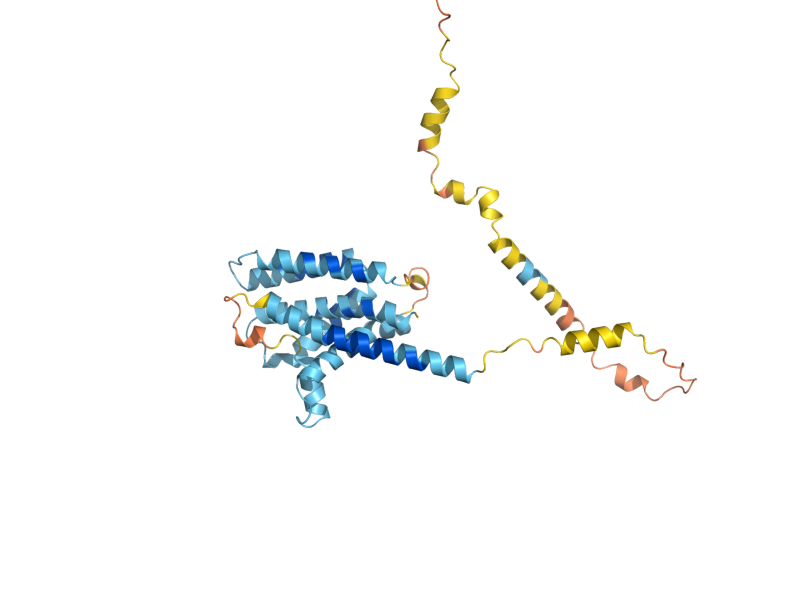 AlphaFold predicted structure of NSG2