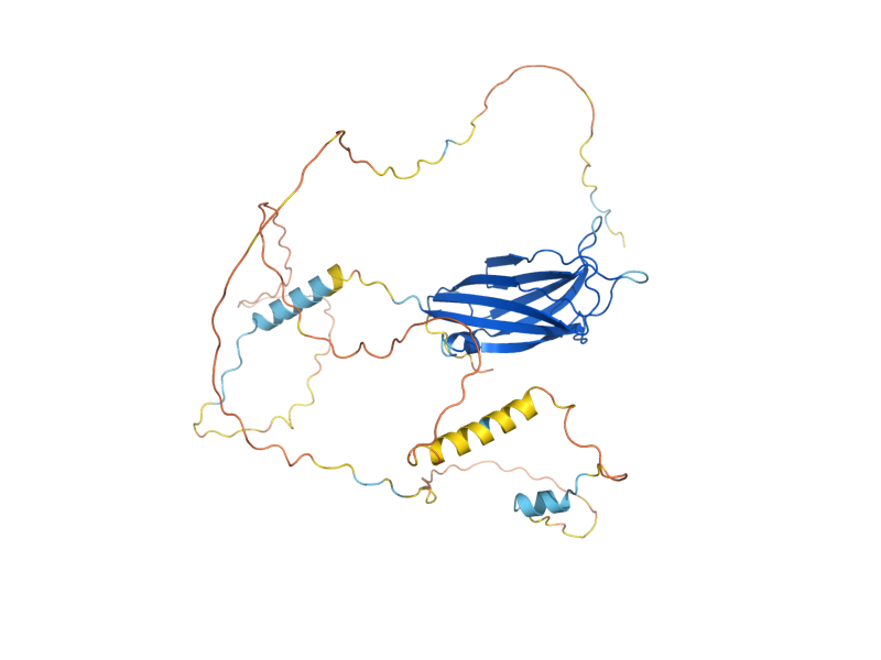 AlphaFold predicted structure of INN1