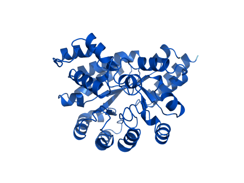 AlphaFold predicted structure of AAH1