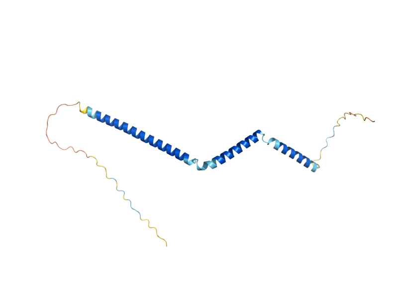 AlphaFold predicted structure of FYV6