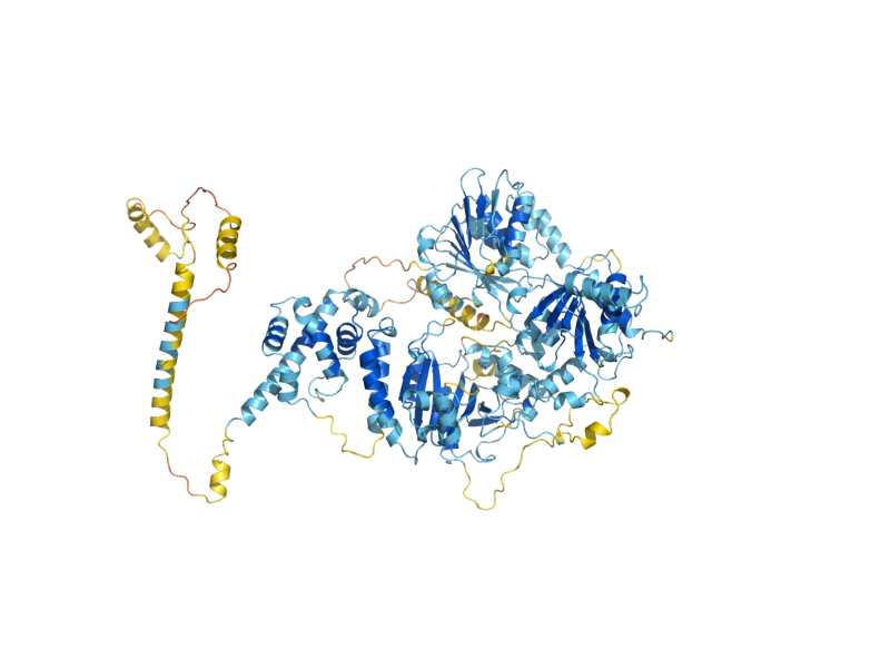 AlphaFold predicted structure of KRE33