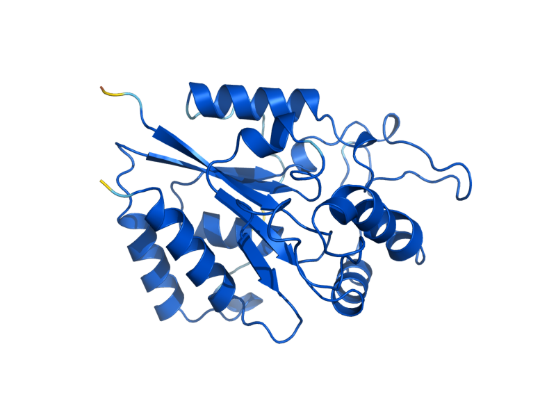 AlphaFold predicted structure of NRK1