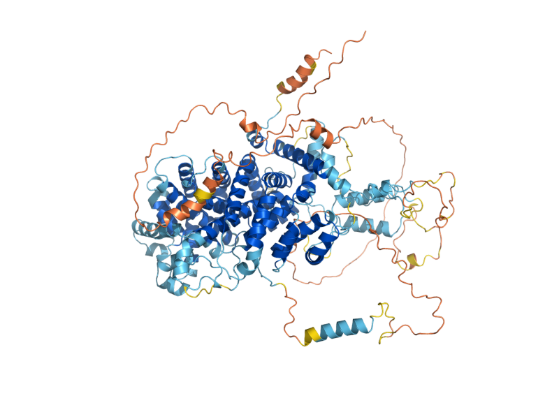 AlphaFold predicted structure of FAR11