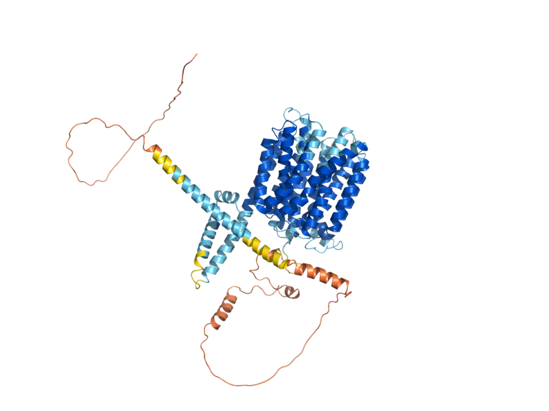 AlphaFold predicted structure of ESBP6