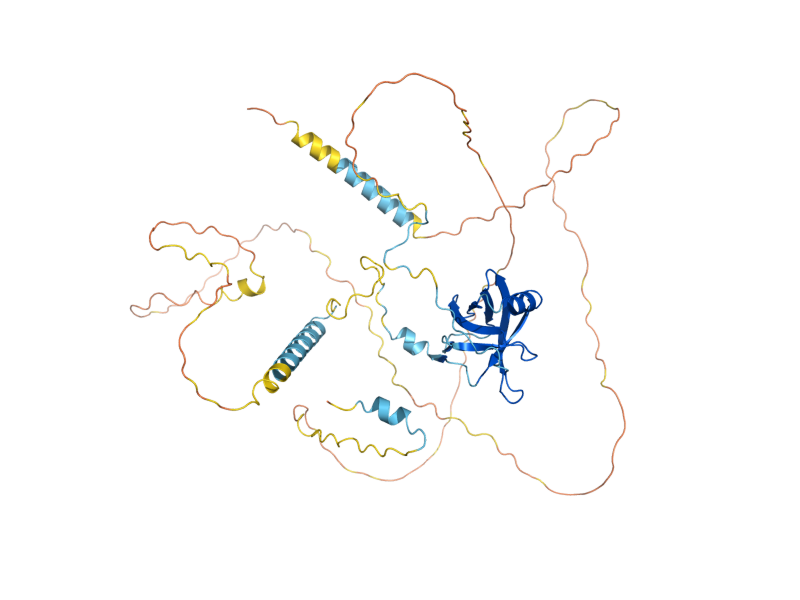 AlphaFold predicted structure of NAF1