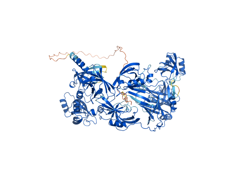 AlphaFold predicted structure of NMA111