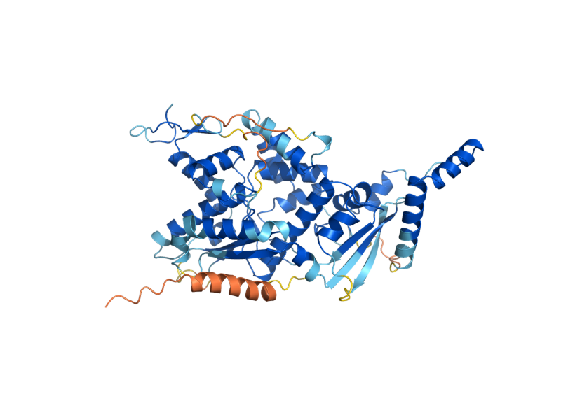 AlphaFold predicted structure of NCS2